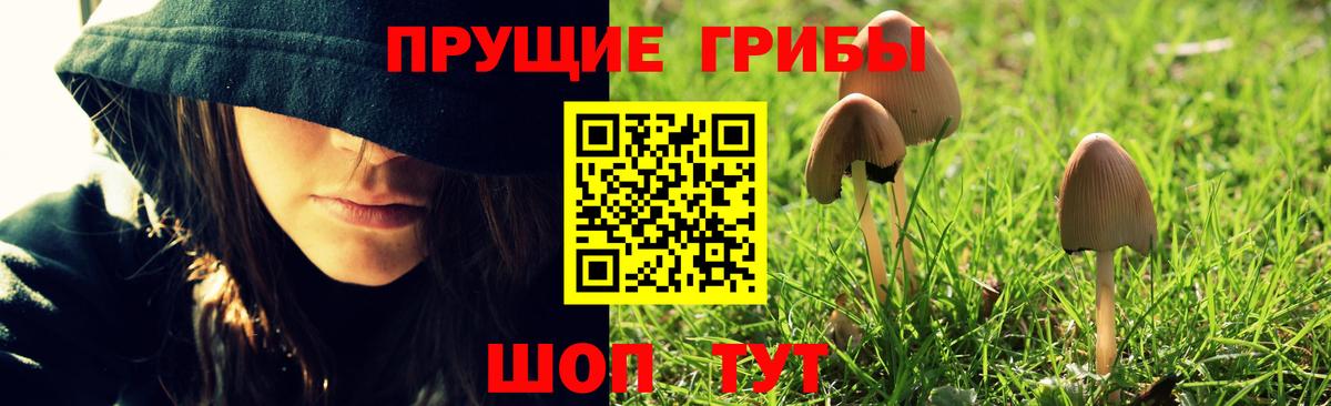 Шебекино  Псилоцибиновые грибы Magic Shrooms  Вход с VPN 
