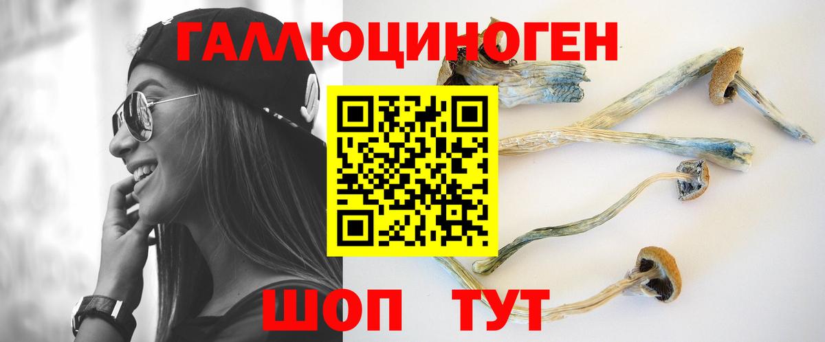 Псилоцибиновые грибы прущие грибы Шебекино